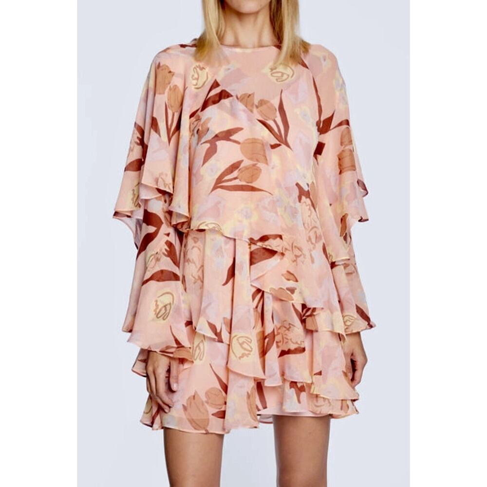 Ted Baker Pegaia Floral Ruffle Trim Chiffon Mini Dress Light Pink Size 2 (US S)